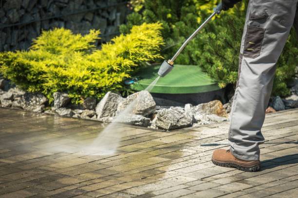 Best House Exterior Washing  in Eslon, CA