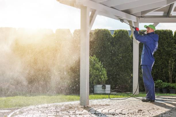 Best Spring Cleaning  in Eslon, CA
