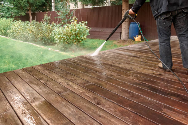 Best Soft Washing  in Eslon, CA
